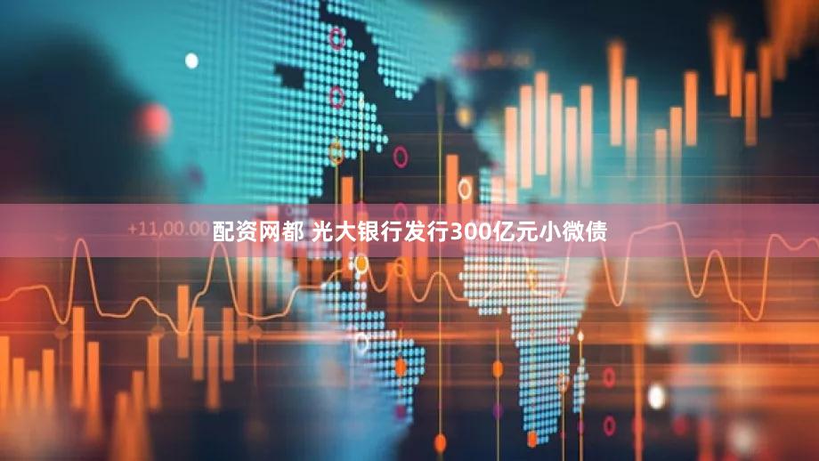 配资网都 光大银行发行300亿元小微债