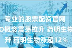 专业的股票配资官网 港股CXO概念震荡拉升 药明生物涨超12%