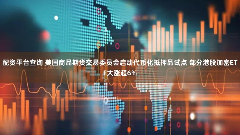 配资平台查询 美国商品期货交易委员会启动代币化抵押品试点 部分港股加密ETF大涨超6%