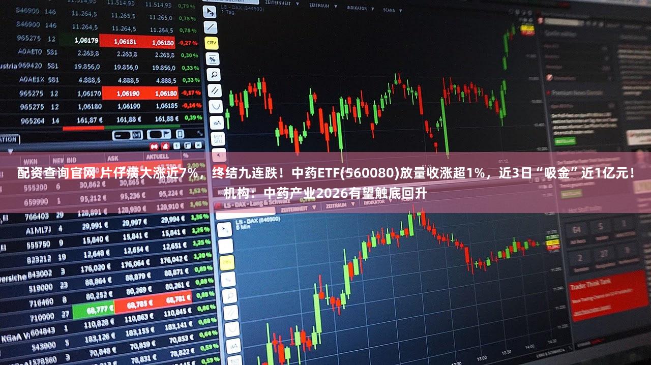 配资查询官网 片仔癀大涨近7%，终结九连跌！中药ETF(560080)放量收涨超1%，近3日“吸金”近1亿元！机构：中药产业2026有望触底回升
