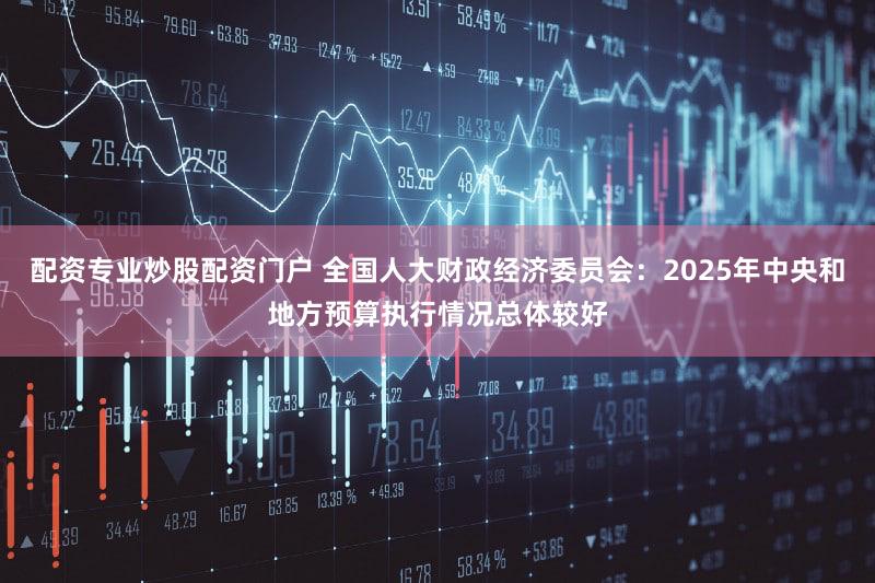 配资专业炒股配资门户 全国人大财政经济委员会：2025年中央和地方预算执行情况总体较好
