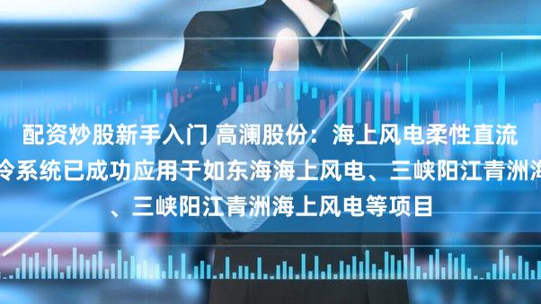 配资炒股新手入门 高澜股份：海上风电柔性直流输电换流阀液冷系统已成功应用于如东海海上风电、三峡阳江青洲海上风电等项目