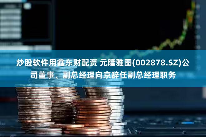 炒股软件用鑫东财配资 元隆雅图(002878.SZ)公司董事、副总经理向京辞任副总经理职务