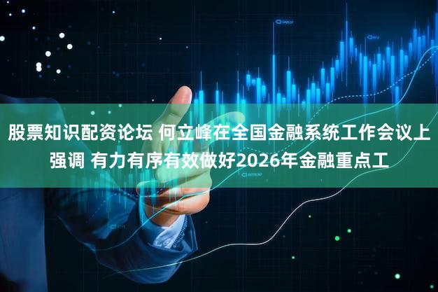 股票知识配资论坛 何立峰在全国金融系统工作会议上强调 有力有序有效做好2026年金融重点工
