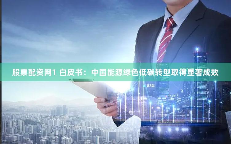 股票配资网1 白皮书：中国能源绿色低碳转型取得显著成效