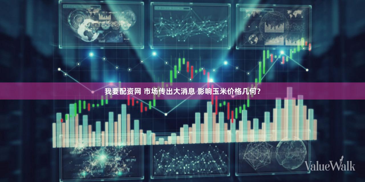 我要配资网 市场传出大消息 影响玉米价格几何？