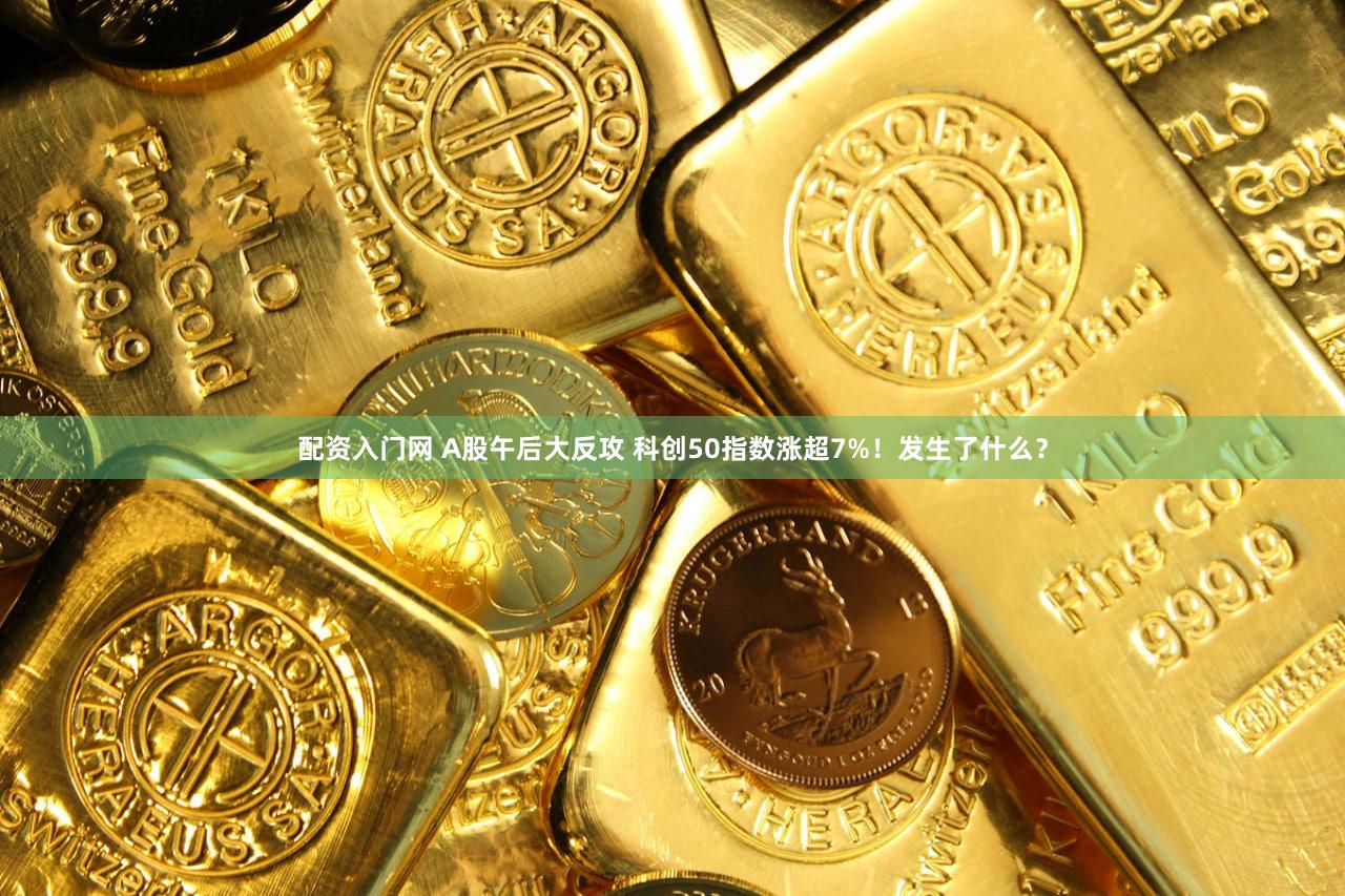 配资入门网 A股午后大反攻 科创50指数涨超7%！发生了什么？